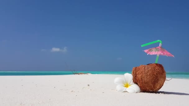 Bebida Coco Con Paja Flor Plumeria Playa Viaje Tropical Bali — Vídeo de stock