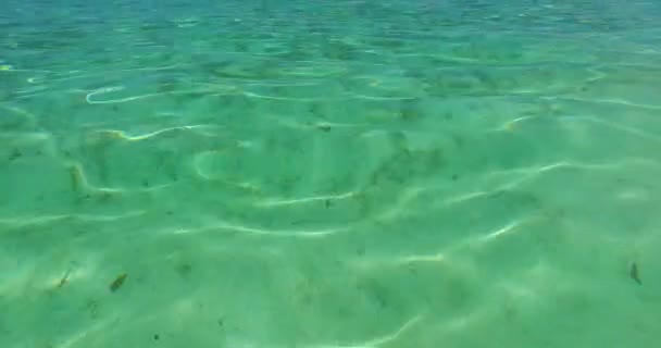 수정같이 바닷물이 물결치는 바다를 가까이서 수있다 인도네시아 발리에서의 — 비디오