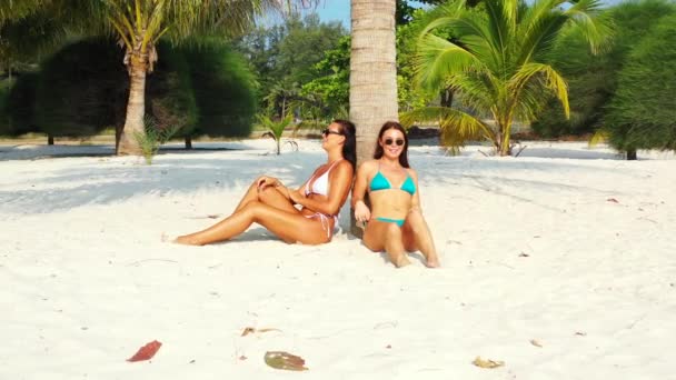 Dos Amigas Jóvenes Bikini Sentadas Costa Arenosa Bajo Palmera Tomando — Vídeos de Stock