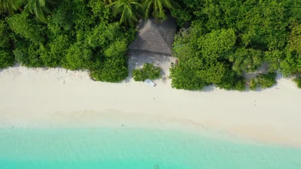 Czysta Turkusowa Wyspa Brzegowa Egzotyczna Podróż Barbados Karaiby — Wideo stockowe