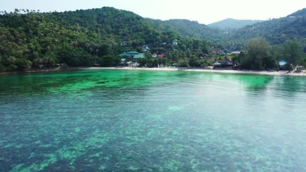 观察海滨地区 多米尼加共和国 加勒比夏季热带风景 — 图库视频影像