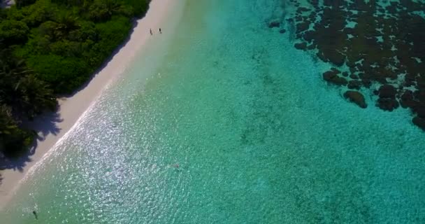 stock video Sea shoreline viewed from drone in sunny daytime. Tropical vacation in Bali, Indonesia.    