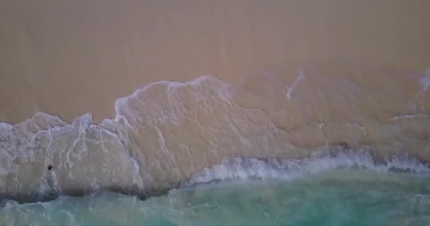 Zarte Wellen Rauschen Strand Entlang Tropenurlaub Auf Bali — Stockvideo