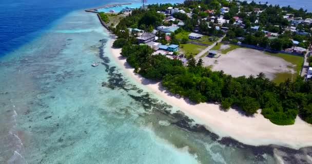 Mirando Costa Desde Dron Naturaleza República Dominicana Caribe — Vídeos de Stock