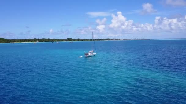 Isla Verde Tropical Con Botes Atracados Viajes Verano Antigua — Vídeo de stock