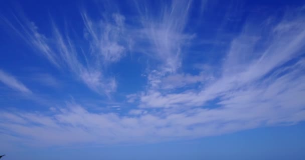 Κοιτάζοντας Τον Γαλάζιο Ουρανό Άσπρα Σύννεφα Υπέροχη Φύση Της Μαλαισίας — Αρχείο Βίντεο
