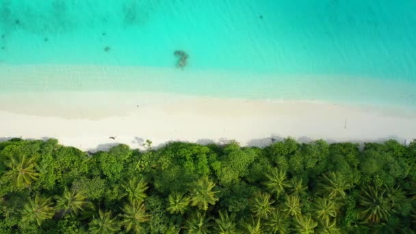 Widok Góry Zielone Palmy Plaży Wyraźną Linią Brzegową Egzotyczna Podróż — Wideo stockowe