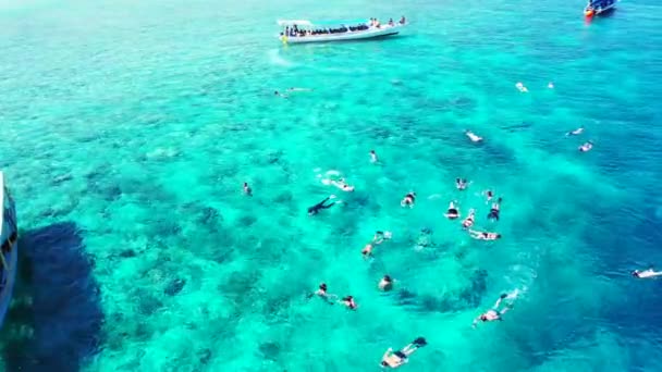 Feliz Snorkel Turistas Mar Férias Bali — Vídeo de Stock