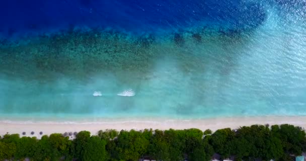 Lato Spiaggia Vuoto Paesaggio Naturale Antigua — Video Stock