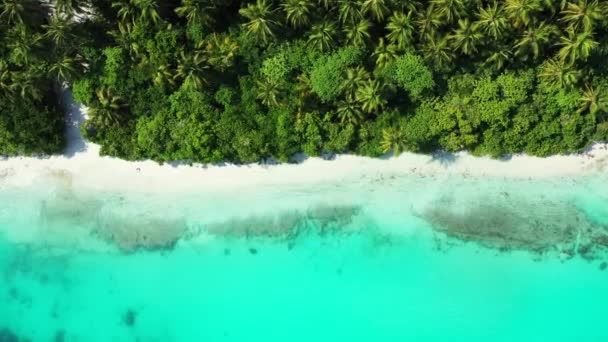 Türkisfarbenes Seichtes Wasser Mit Grüner Insel Drumherum Drohnenblick Reise Nach — Stockvideo