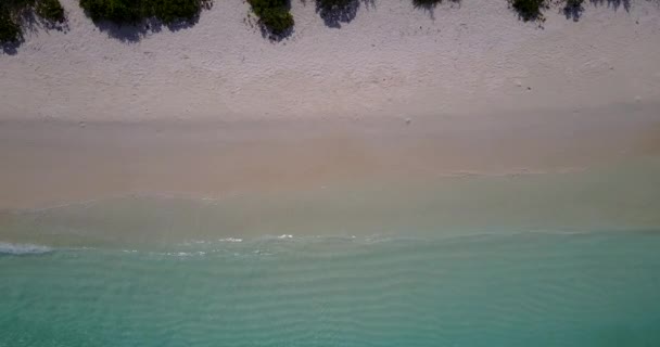 白い海岸線のトップビュー カリブ海のバルバドスへの旅行 — ストック動画