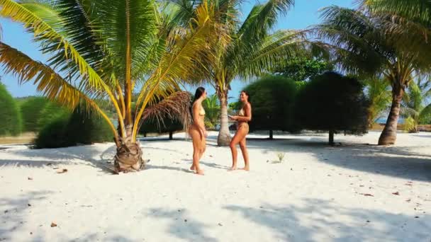 两个穿着比基尼的年轻女孩朋友站在棕榈树下的沙滩海岸上 晒日光浴 谈论着她的发型 美丽的女人在热带度假胜地休息 — 图库视频影像