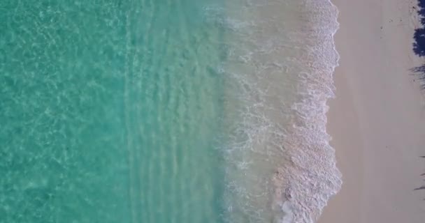 柔らかい結晶水で海岸線 バリ島の自然景観 インドネシア — ストック動画