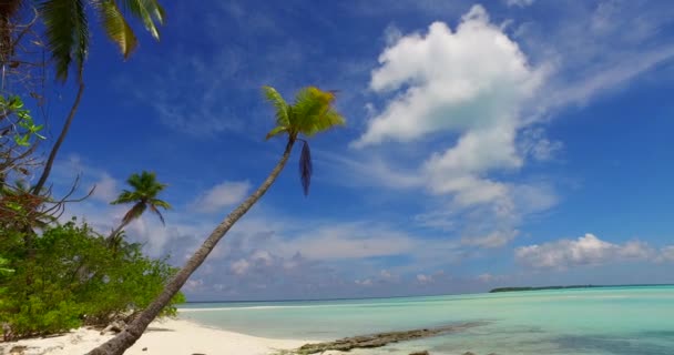 海辺のエリアを観察 ドミニカ共和国 カリブ海の夏の熱帯の風景 — ストック動画