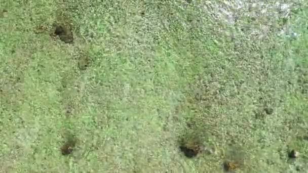 바닥이 보이는 발리에서의 — 비디오