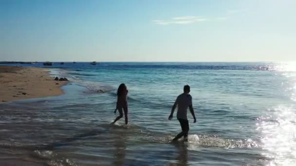 年轻貌美的夫妇在美丽的热带海滨享受假期和放松 — 图库视频影像
