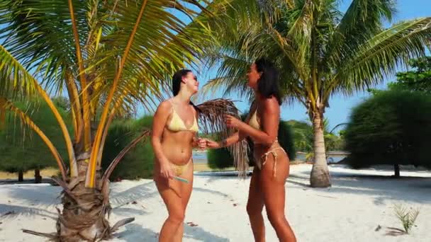 Két fiatal barátnő bikiniben áll a homokos tengerparton a pálmafa alatt és napozik. Egy lány fésülködik a barátnőjével. Gyönyörű nők pihennek trópusi üdülőhelyen      