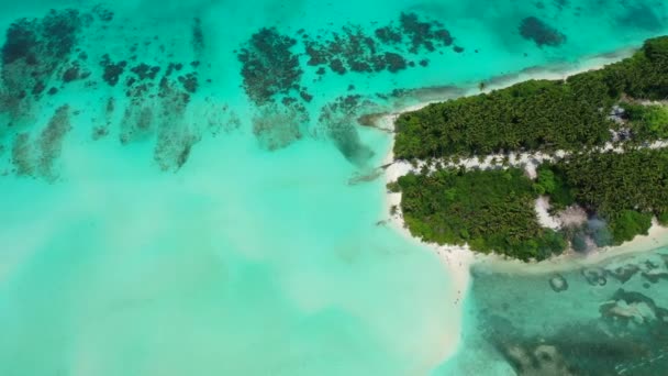 Vista Superior Ilha Verde Com Mar Azul Turquesa Viajar Para — Vídeo de Stock