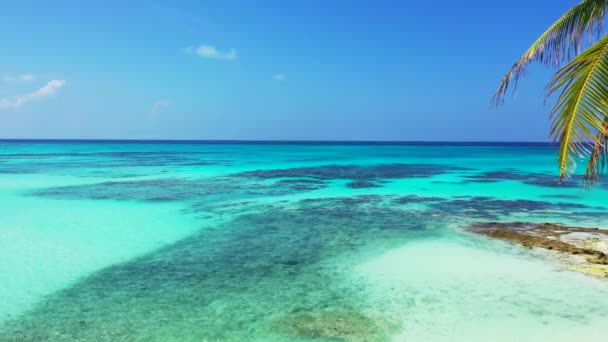 Fényes Ártatlan Látvány Bora Bora Egzotikus Jellege Francia Polinézia — Stock videók