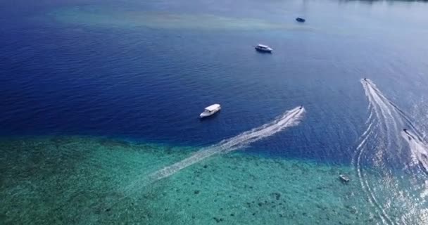 Widok Wybrzeże Drona Lato Relaks Bali — Wideo stockowe