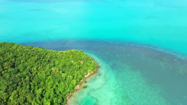 Jamaika 'nın kuzey kıyısı, Karayipler. Mercan resifleri ve turkuaz berrak su ile kumlu sahil manzarası.. 