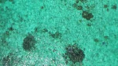 Deniz yosunlarıyla şeffaf su. Hawaii, ABD 'ye seyahat.  