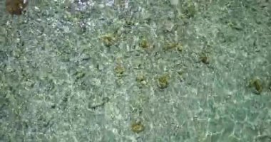 Sığ sularda kayalar ve yosunlar. Bali, Endonezya 'da yaz tatilinin tadını çıkarıyorum..