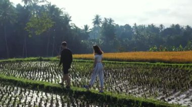 Pirinç tarlalarında yürüyen çiftin videosu.