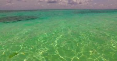 Kıyıda sığ su. Barbados, Karayiplerin güneşli doğası. 