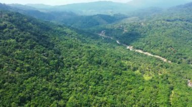 Yeşil ağaçlarla kaplı dağlar. Bali, Endonezya 'da egzotik tatil.