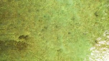 Yukarıdan sarı ve yeşil deniz. Tayland, Asya 'nın tropikal doğası. 