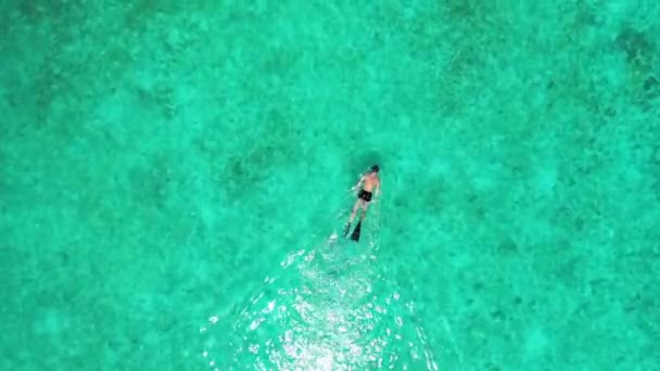 Людина Плаває Тропічному Морі Над Кораловим Рифом Барбадосі — стокове відео