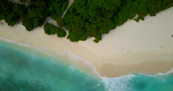 Deniz Manzaralı Endonezya Bali Yaz Havası — Stok video