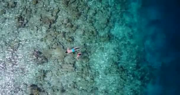 Turistler Deniz Suyunun Tadını Çıkarıyorlar Güney Asya Maldivler Tatili — Stok video