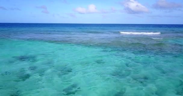 Gündüz Vakti Turkuaz Deniz Jamaika Karayipler Yaz Tatili — Stok video