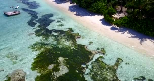 Piles Pierres Algues Vues Travers Mer Transparente Sur Île Voyage — Video