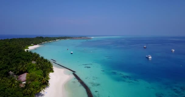 Flygfoto Över Exotiska Resort Stranden Sommarsemester Bora Bora Franska Polynesien — Stockvideo