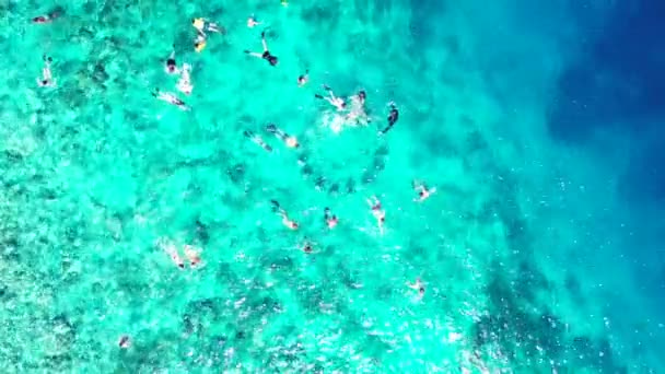 관광객들은 물에서 수영과 스노클링을 인도네시아 발리에서 휴가를 즐기는 — 비디오
