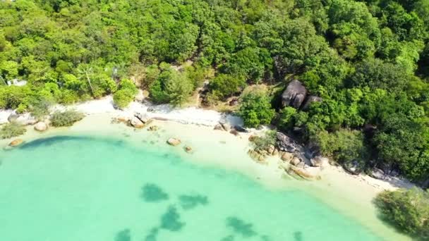 ターコイズブルーの水で穏やかな海岸線と素晴らしい緑の島 カリブ海のジャマイカへの夏の旅行 — ストック動画