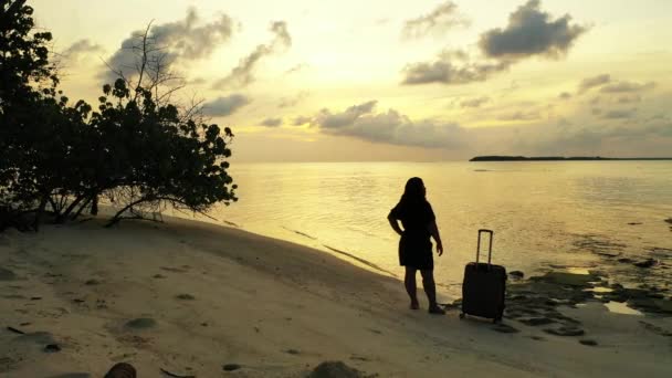 Silhouette Donna Contro Tramonto Con Bagagli Sulla Spiaggia — Video Stock