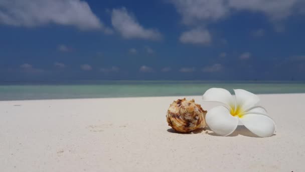Rano Widok Plażę Podróż Bora Bora Polinezja Francuska — Wideo stockowe