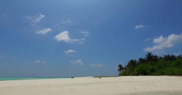 Rustige Ochtend Het Eiland Landschap Van Australië Oceanië — Stockvideo