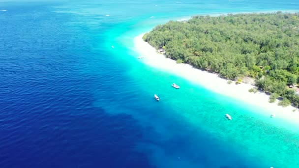 Zomer Exotisch Landschap Dominicaanse Republiek Uitzicht Vanuit Lucht Het Eiland — Stockvideo