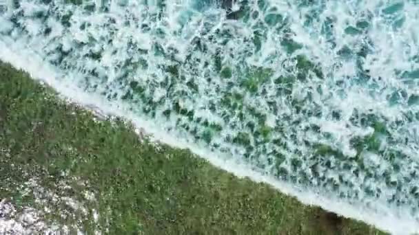 海の波の動きを見て ボラのエキゾチックな自然 フランス領ポリネシア — ストック動画