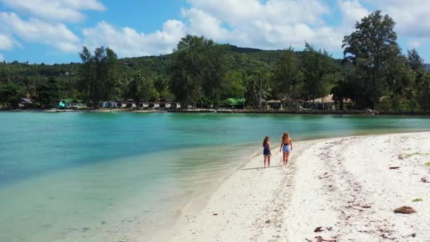 Vue Des Filles Marchant Sur Plage Sable Parlant Quelque Chose — Video