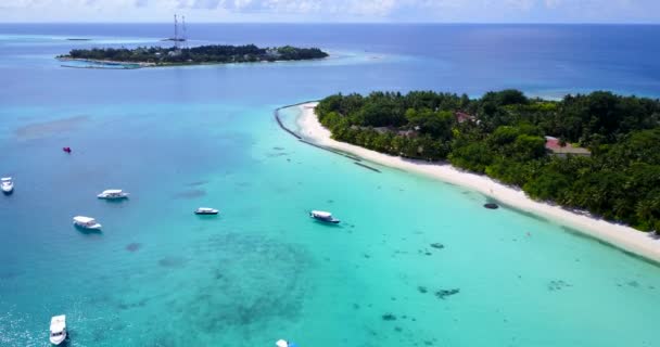 熱帯エキゾチックなリゾートの空中ビュー ドミニカ共和国の日当たりの良い自然 カリブ海 — ストック動画