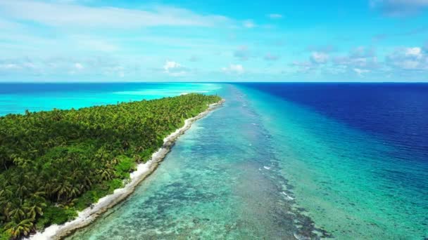 Widok Zieloną Wyspę Niebieskim Brzegiem Letnia Egzotyczna Wycieczka Bahamy Karaiby — Wideo stockowe