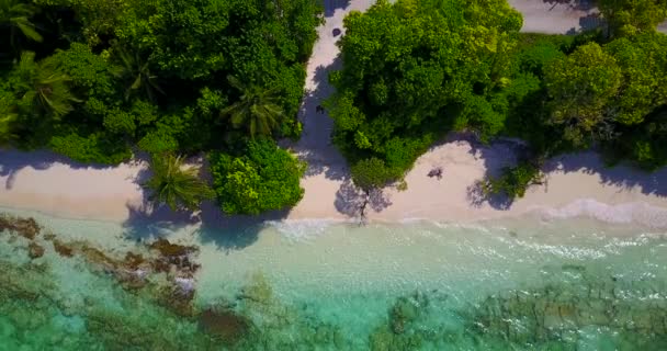 Vista Superior Isla Tropical Bali — Vídeo de stock