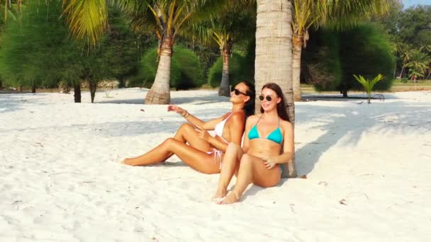 Deux Jeunes Amies Bikini Assises Sur Côte Sablonneuse Sous Palmier — Video