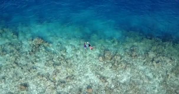 Вид Зверху Дівчину Хлопця Який Плаває Кришталевому Океані Концепція Літнього — стокове відео